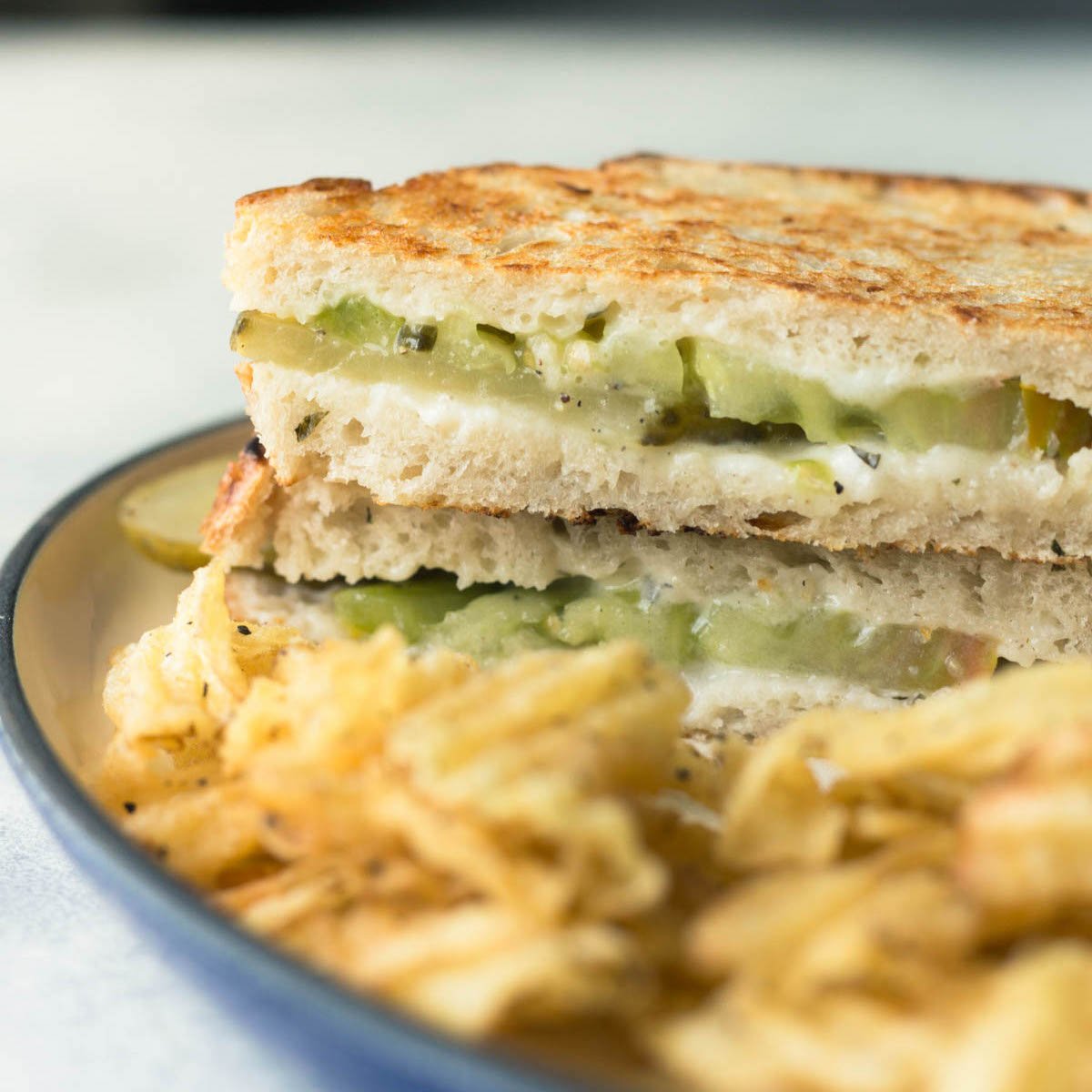 a vegan cheese, tomato, and pickle sandwich on a tray with potato chips
